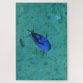 Puzzle Poisson Tropical. (Vertical)