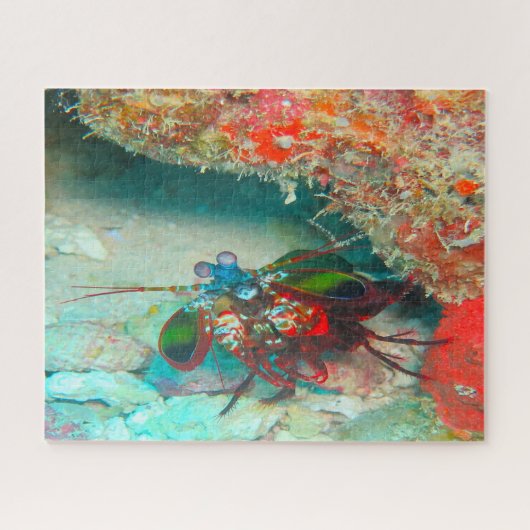 Puzzle Poisson tropical (Horizontal)