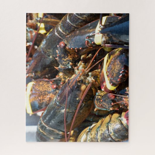 Puzzle Poisson tropical (Vertical)