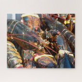 Puzzle Poisson tropical (Horizontal)