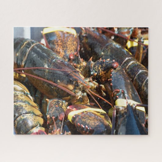 Puzzle Poisson tropical (Horizontal)