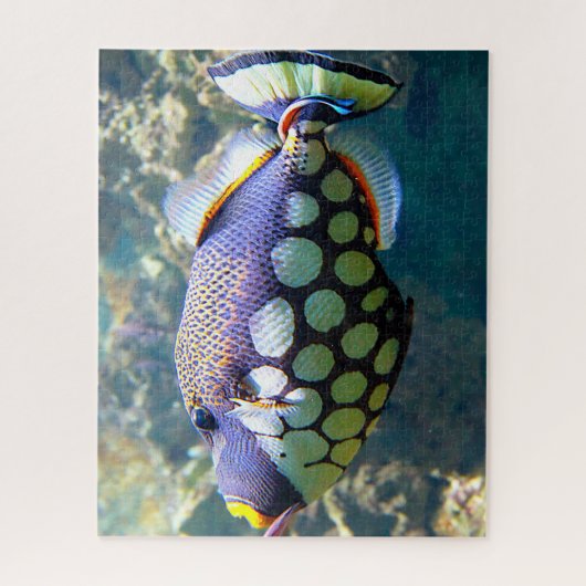 Puzzle Poisson tropical (Vertical)