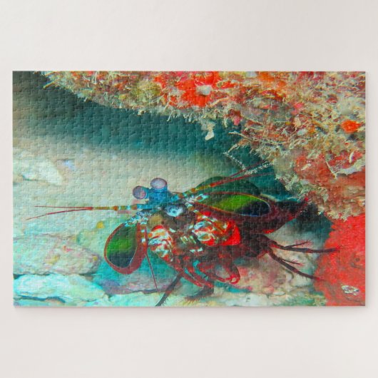 Puzzle Poisson tropical (Horizontal)