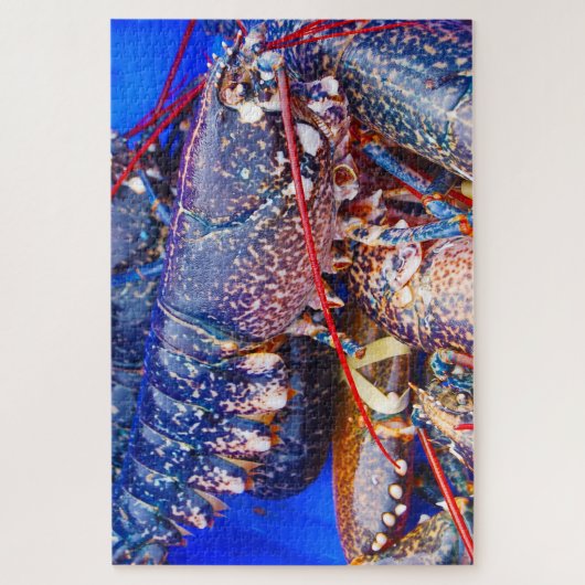 Puzzle Poisson tropical (Vertical)