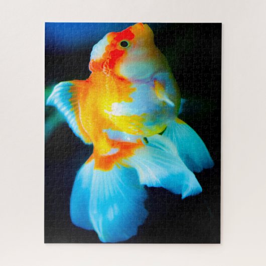 Puzzle Poisson tropical (Vertical)