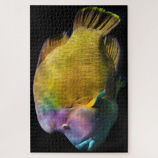 Puzzle Poisson tropical (Vertical)