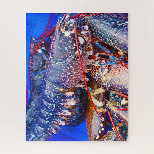 Puzzle Poisson tropical (Vertical)