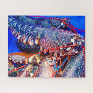 Puzzle Poisson tropical