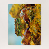 Puzzle Poisson tropical (Vertical)