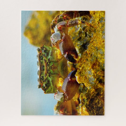 Puzzle Poisson tropical (Vertical)