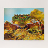Puzzle Poisson tropical (Horizontal)