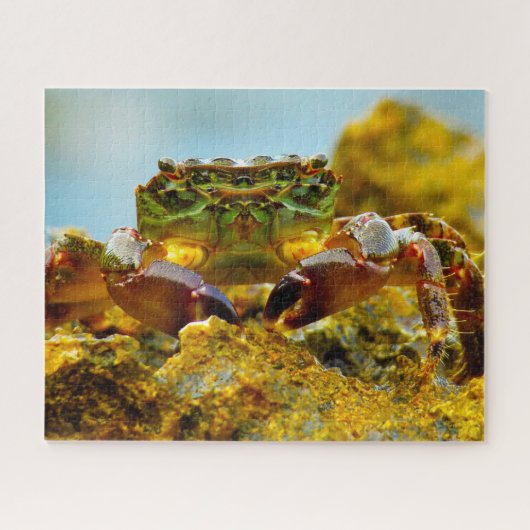 Puzzle Poisson tropical (Horizontal)