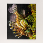 Puzzle Poisson tropical (Vertical)