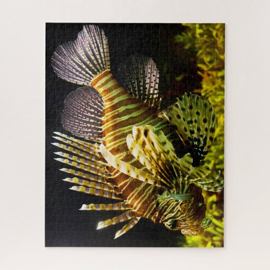 Puzzle Poisson tropical (Vertical)