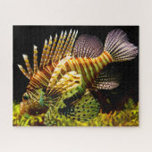Puzzle Poisson tropical (Horizontal)