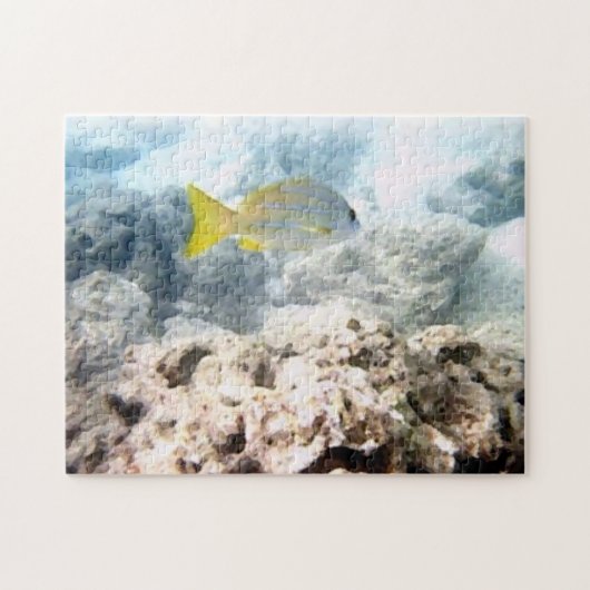 Puzzle Poisson tropical (Horizontal)