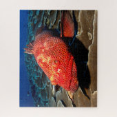 Puzzle Poisson tropical (Vertical)