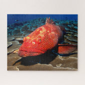 Puzzle Poisson tropical (Horizontal)