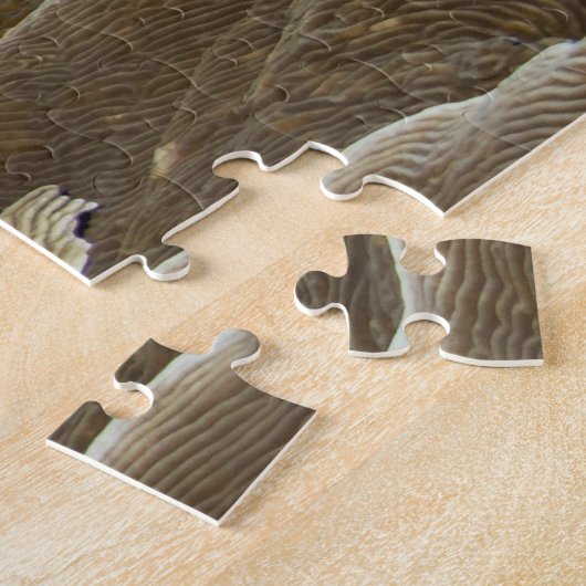 Puzzle Poisson tropical (Côté)