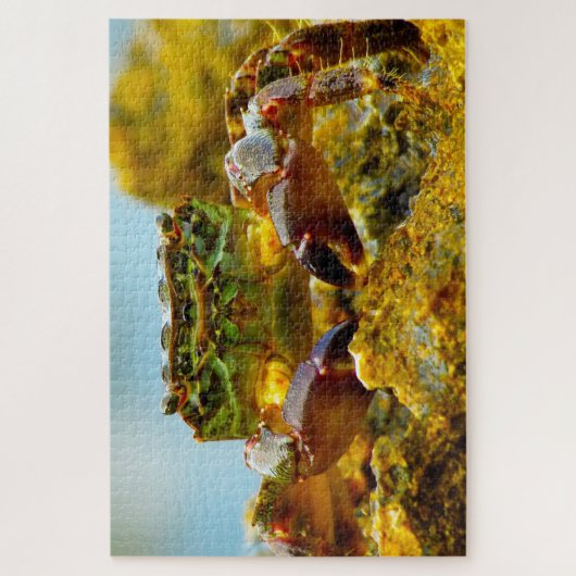 Puzzle Poisson tropical (Vertical)