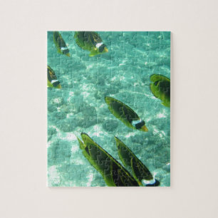 Puzzle Poisson tropical sous l'eau
