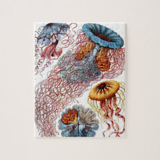 Puzzle Poisson vintage par Ernst Haeckel, Discomedusae