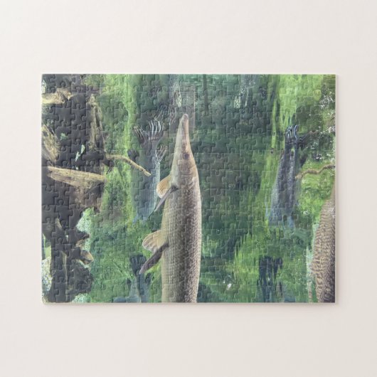Puzzle Poissons de Pike (Horizontal)