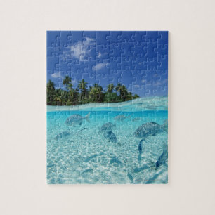 Puzzle Poissons en mer