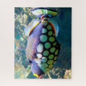 Puzzle Poissons Tropicaux (Vertical)