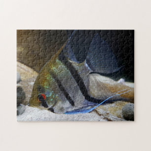 Puzzle Poissons tropicaux d'Ange