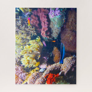Puzzle Poissons tropicaux dans un aquarium.