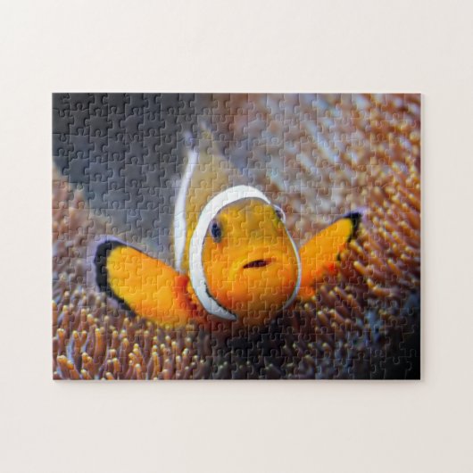 Puzzle Poissons tropicaux de récif - Clownfish (Horizontal)