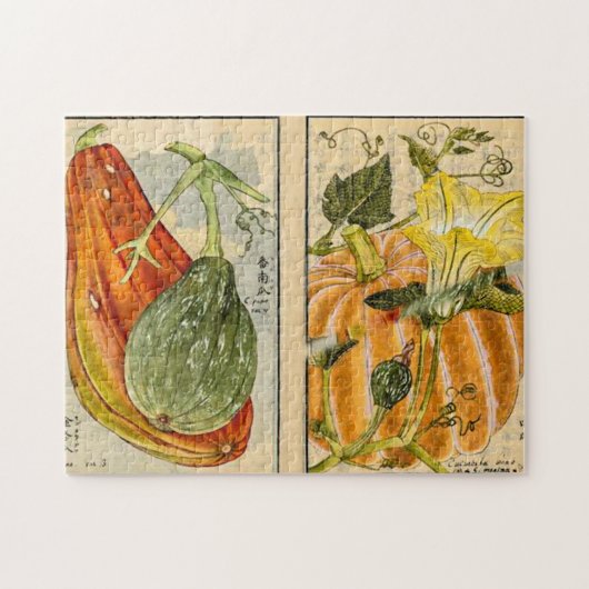 Puzzle Poivre de Cucurbita - Seikei Zusetsu (Horizontal)