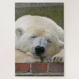 Puzzle PolarBear 001