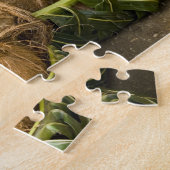 Puzzle Polynésie, Royaume des Tonga. Présentation de noix (Côté)
