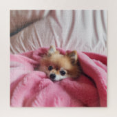 Puzzle Pomeranian Companion Pink  (Vertical)
