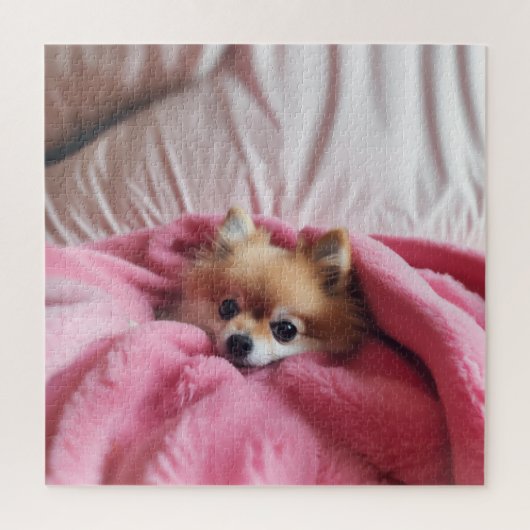 Puzzle Pomeranian Companion Pink  (Vertical)