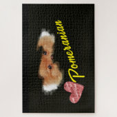 Puzzle Poméranie yeux couleur solide 1000 pièce (Vertical)