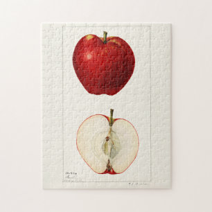 Puzzle Pommes (Malus Domestica) Peinture à l'aquarelle au