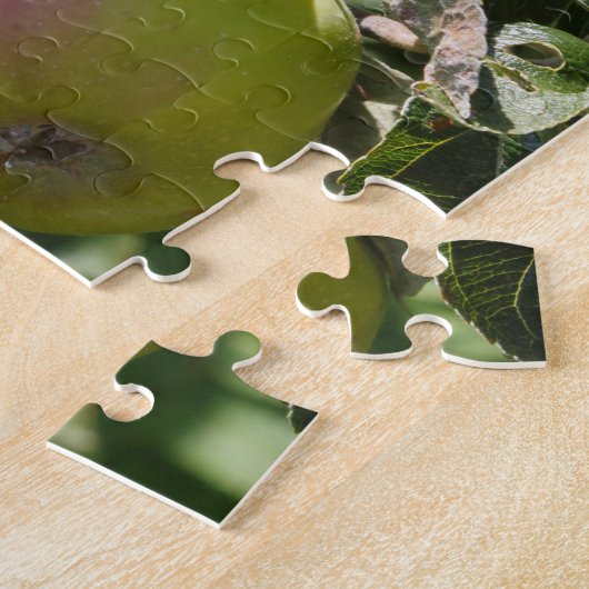 Puzzle Pommes mûrissant sur un pommier (Côté)