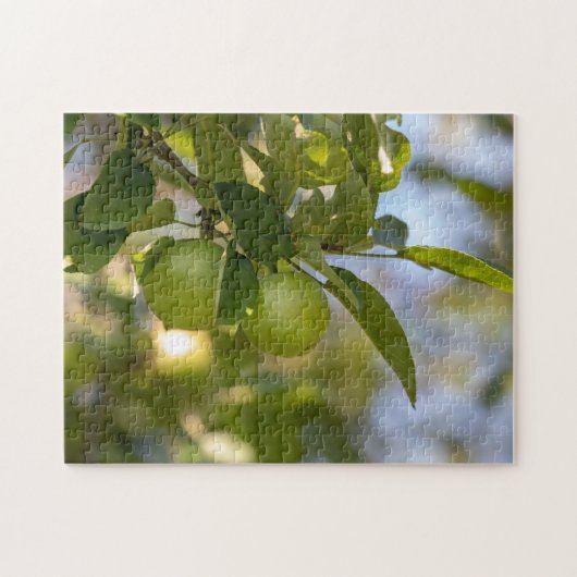 Puzzle Pommes sur la branche (Horizontal)