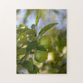 Puzzle Pommes sur la branche (Vertical)
