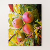 Puzzle Pommes sur une arborescence (Vertical)