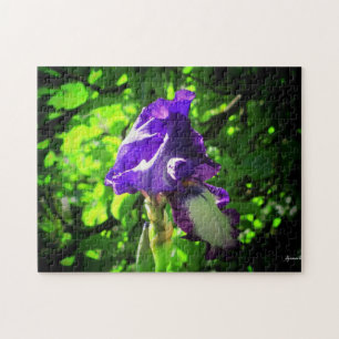 Puzzle Pommier Sunshine et fleur d'Iris