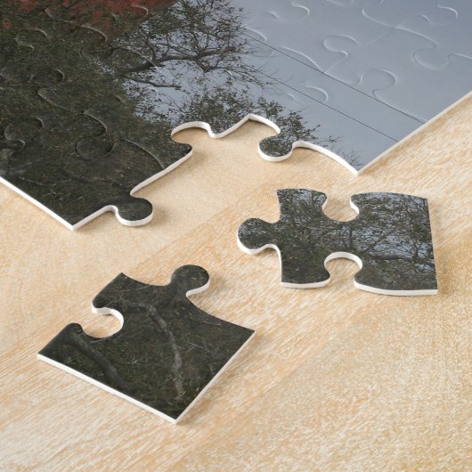 Puzzle Ponce de Leon (Côté)