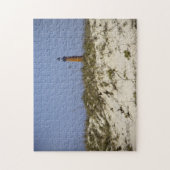 Puzzle Ponce Inlet Lighthouse Daytona Beach Florida Photo (Vertical)