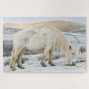 Puzzle Poney Fell blanc sur la lande en hiver