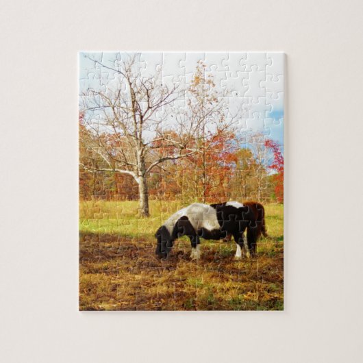 Puzzle Poney miniature noir et blanc / Cheval (Vertical)