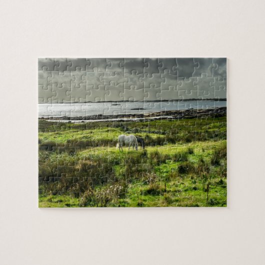 Puzzle poneys de Connemara Galway Irlande. (Horizontal)