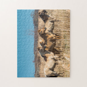 Puzzle poneys Wild Konik Wicken Fen Cambridgeshire UK